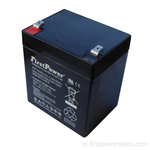 Oplaadbare D batterijoplader